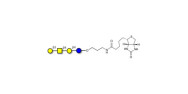 Asialo GM1 Ganglioside...