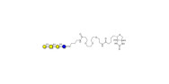Asialo GM1 Ganglioside...