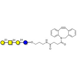 Asialo GM1 Ganglioside oligosaccharide (aGM1) with DBCO (Linker-DBCO A)