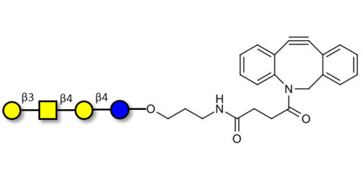 Asialo GM1 Ganglioside oligosaccharide (aGM1) with DBCO (Linker-DBCO A) - GA1 ; Gangliotetraose