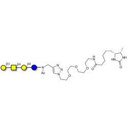 Asialo GM1 Ganglioside oligosaccharide (aGM1) linked to desthiobiotin (Linker-DBT-A)
