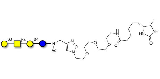 Asialo GM1 Ganglioside oligosaccharide (aGM1) linked to desthiobiotin (Linker-DBT-A) - GA1 ; Gangliotetraose