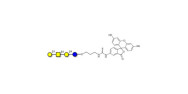 Asialo GM1 Ganglioside...
