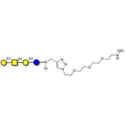 Asialo GM1 Ganglioside oligosaccharide (aGM1) grafted on gel for affinity chromatography (Linker-GEL A)