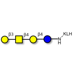 Asialo GM1 Ganglioside oligosaccharide (aGM1) grafted on KLH