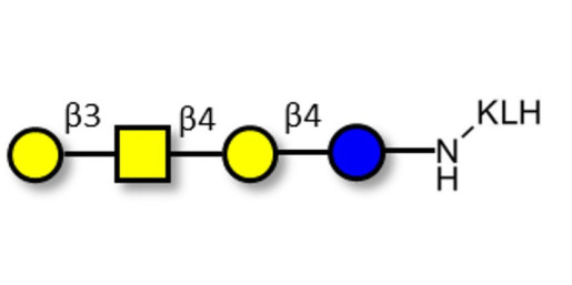 Asialo GM1 Ganglioside oligosaccharide (aGM1) grafted on KLH - GA1 ; Gangliotetraose