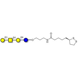 Asialo GM1 Ganglioside oligosaccharide (aGM1) with cyclic di-thiol (Linker-LIPO A)