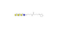 Asialo GM1 Ganglioside...
