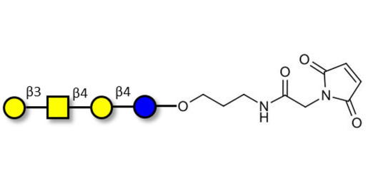 Asialo GM1 Ganglioside oligosaccharide (aGM1) linked to maleimide (Linker-MAL A) - GA1 ; Gangliotetraose
