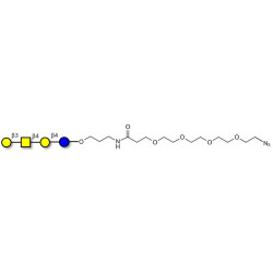 Asialo GM1 Ganglioside oligosaccharide (aGM1) with terminal azide (Linker-N3 A)