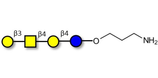 Asialo GM1 Ganglioside oligosaccharide (aGM1) with free terminal amine (Linker-NH2 A) - GA1 ; Gangliotetraose