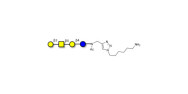 Asialo GM1 Ganglioside...