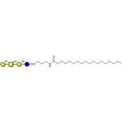 Asialo GM1 Ganglioside oligosaccharide (aGM1) with stearic chain (Linker-STEA A)