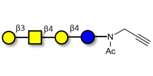 Asialo GM1 Ganglioside oligosaccharide (aGM1) with terminal alkyne (Linker-CΞCH A) - GA1 ; Gangliotetraose