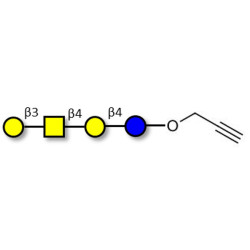 Asialo GM1 Ganglioside oligosaccharide (aGM1) with terminal alkyne (Linker-CΞCH B)