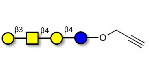 Asialo GM1 Ganglioside oligosaccharide (aGM1) with terminal alkyne (Linker-CΞCH B) - GA1 ; Gangliotetraose