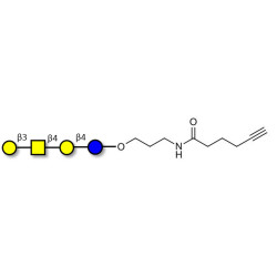Asialo GM1 Ganglioside oligosaccharide (aGM1) with terminal alkyne (Linker-CΞCH C)