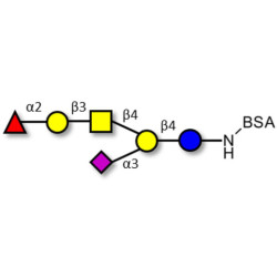 Fucosyl GM1 Ganglioside oligosaccharide grafted on BSA