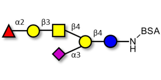 Fucosyl GM1 Ganglioside oligosaccharide grafted on BSA