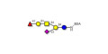 Fucosyl GM1 Ganglioside oligosaccharide grafted on BSA