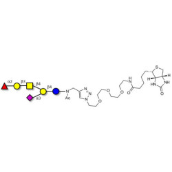 Fucosyl GM1 Ganglioside oligosaccharide linked to biotin (Linker-BT A)