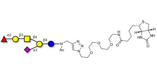 Fucosyl GM1 Ganglioside oligosaccharide linked to biotin (Linker-BT A) - GLY103-NAc-sp3-Bt