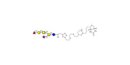 Fucosyl GM1 Ganglioside...