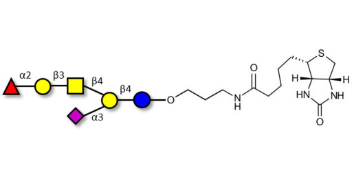 Fucosyl GM1 Ganglioside oligosaccharide linked to biotin (Linker-BT B)