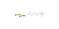 Fucosyl GM1 Ganglioside oligosaccharide linked to biotin (Linker-BT C)