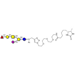 Fucosyl GM1 Ganglioside oligosaccharide linked to desthiobiotin (Linker-DBT-A)