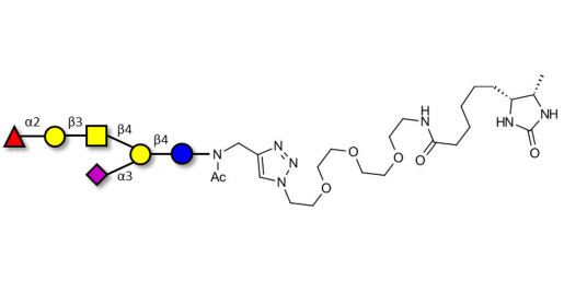 Fucosyl GM1 Ganglioside oligosaccharide linked to desthiobiotin (Linker-DBT-A)
