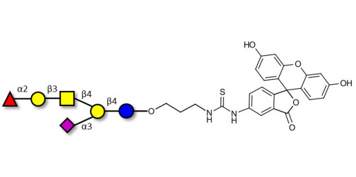Fucosyl GM1 Ganglioside oligosaccharide linked to fluorescein (Linker-FLUO A)