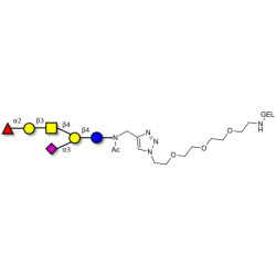 Fucosyl GM1 Ganglioside oligosaccharide grafted on gel for affinity chromatography (Linker-GEL A)