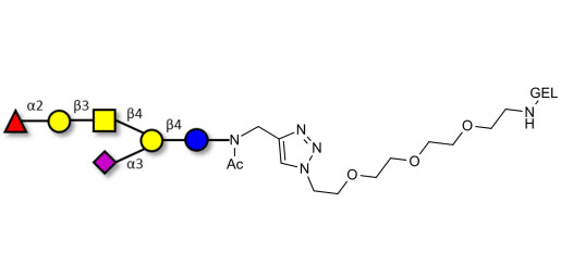Fucosyl GM1 Ganglioside oligosaccharide grafted on gel for affinity chromatography (Linker-GEL A)