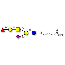 Fucosyl GM1 Ganglioside oligosaccharide grafted on gel for affinity chromatography (Linker-GEL B)