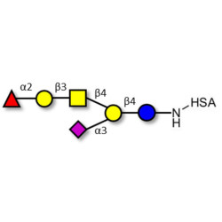 Fucosyl GM1 Ganglioside oligosaccharide grafted on HSA