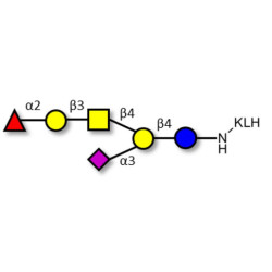 Fucosyl GM1 Ganglioside oligosaccharide grafted on KLH
