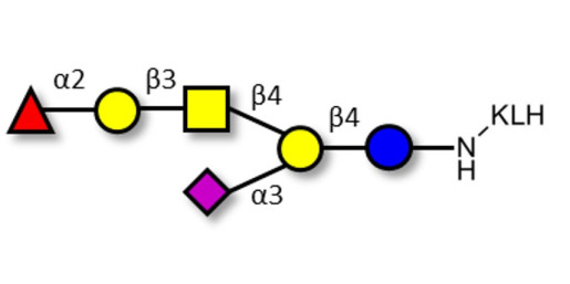Fucosyl GM1 Ganglioside oligosaccharide grafted on KLH