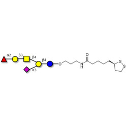 Fucosyl GM1 Ganglioside oligosaccharide with cyclic di-thiol (Linker-LIPO A)
