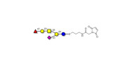 Fucosyl GM1 Ganglioside...
