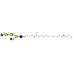 Fucosyl GM1 Ganglioside oligosaccharide with terminal azide (Linker-N3 A)