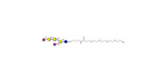 Fucosyl GM1 Ganglioside...