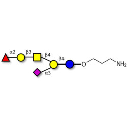 Fucosyl GM1 Ganglioside oligosaccharide with free terminal amine (Linker-NH2 A)