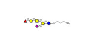 Fucosyl GM1 Ganglioside...