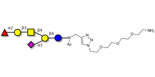 Fucosyl GM1 Ganglioside oligosaccharide with free terminal amine (Linker-NH2 B)