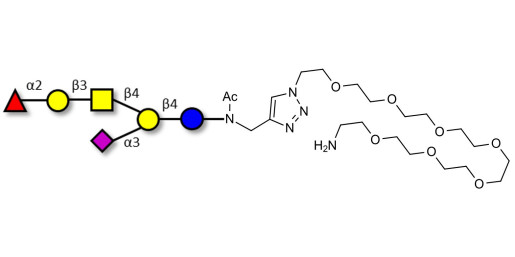 Fucosyl GM1 Ganglioside oligosaccharide with free terminal amine (Linker-NH2 C)