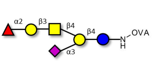 Fucosyl GM1 Ganglioside oligosaccharide grafted on OVA
