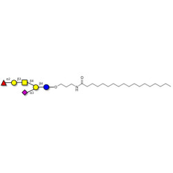 Fucosyl GM1 Ganglioside oligosaccharide with stearic chain (Linker-STEA A)