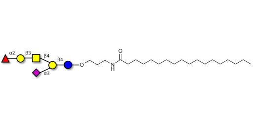 Fucosyl GM1 Ganglioside oligosaccharide with stearic chain (Linker-STEA A)