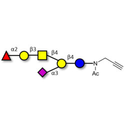 Fucosyl GM1 Ganglioside oligosaccharide with terminal alkyne (Linker-CΞCH A)